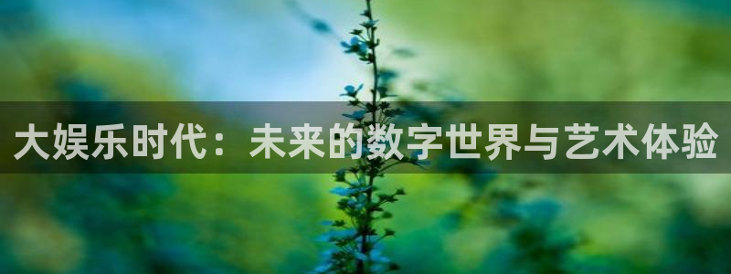 长征娱乐主管：大娱乐时代：未来的数字世界与艺术体验