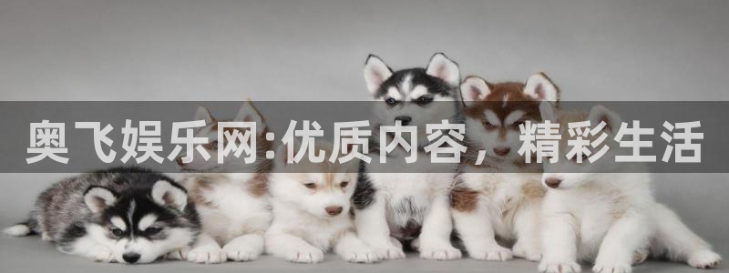 长征娱乐