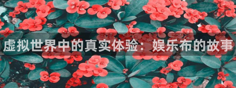 长征娱乐