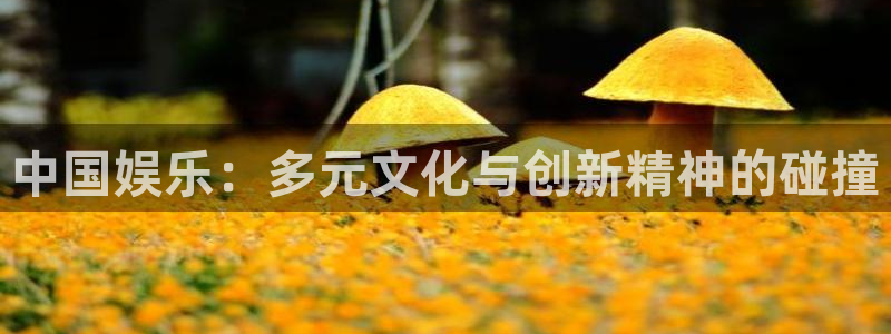 长征娱乐：中国娱乐：多元文化与创新精神的碰撞