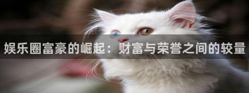 长征娱乐平台注册：娱乐圈富豪的崛起：财富与荣誉之间的较量