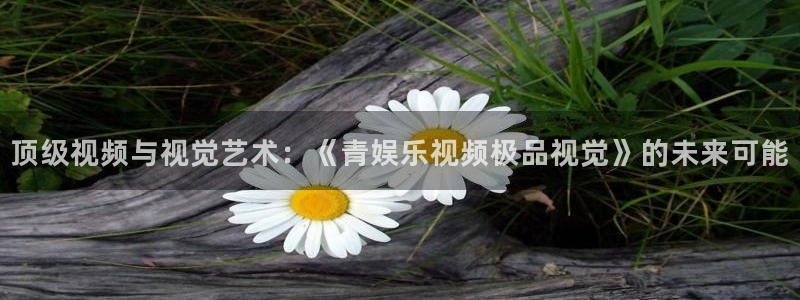 长征娱乐平台注册：顶级视频与视觉艺术：《青娱乐视频极品视觉》的未来可能